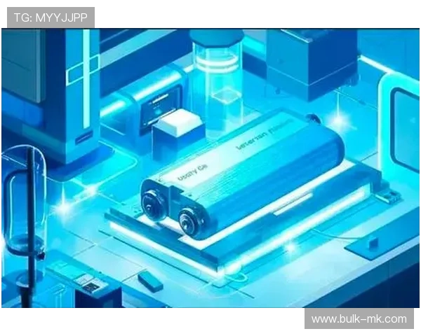 赖斯技术深度解析：创新驱动未来，重塑行业新格局